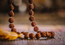 Rudraksha: Meaning, Benefits & How to Wear It Properly Rudraksha